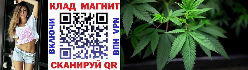 Виды наркотиков купить Новая Ляля Метамфетамин Кокаин Гашиш МЕФ Марихуана Альфа ПВП Псилоцибиновые грибы