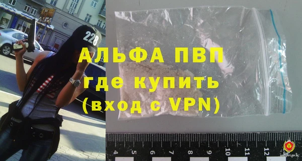 сатива Балахна