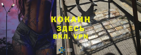 сатива Балахна