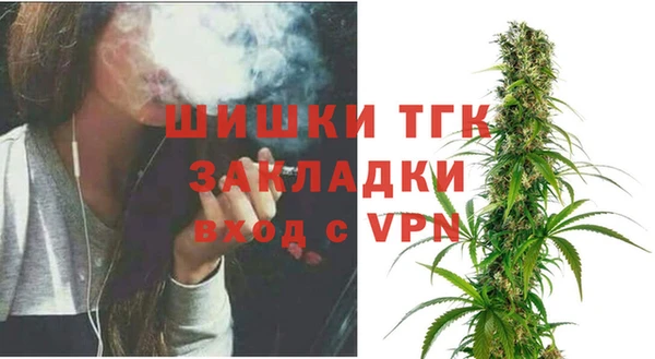 сатива Балахна